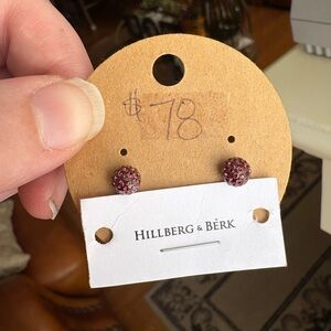 Sparkling Red Stud Earrings